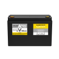 (China stocks) 12V 100Ah Lifepo4 battery pack with BMS (China stocks) 12V 100Ah Lifepo4 battery pack with BMS